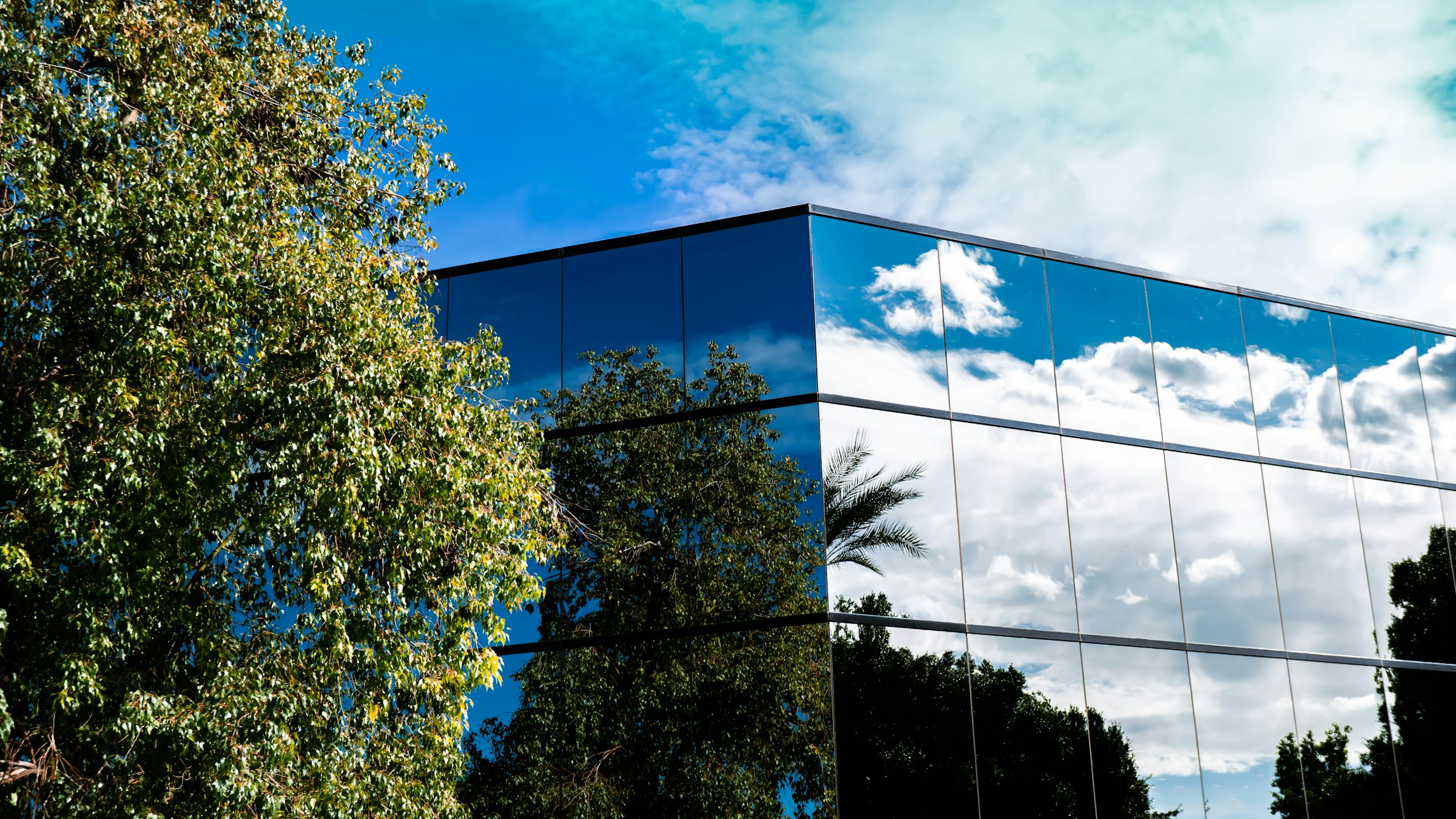 Modern commercial building with a glass facade and landscaped surroundings